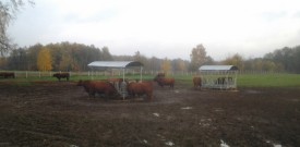 lauktehnika